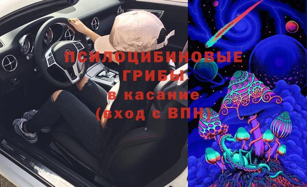 амф Белокуриха