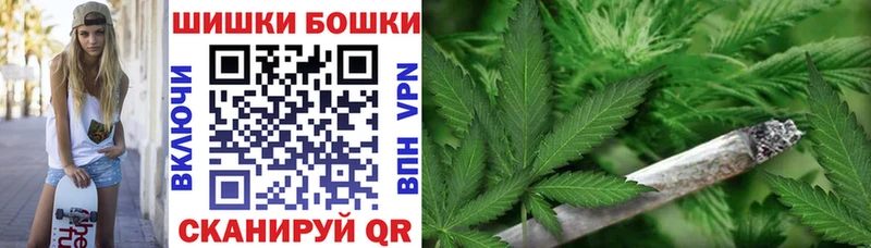 Бошки Шишки ГИДРОПОН где найти Электросталь